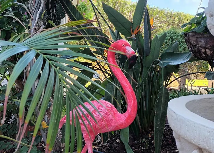 Bogota Appartamento Playa del Inglés