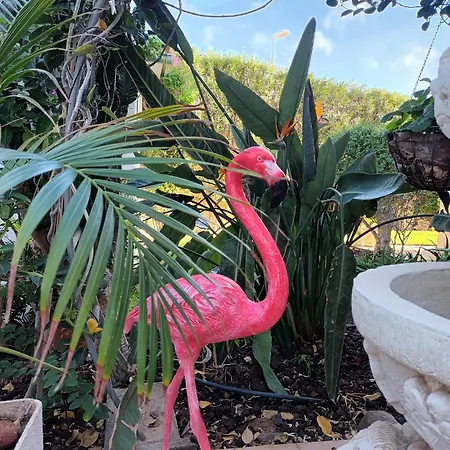 Bogota Apartament Playa del Inglés