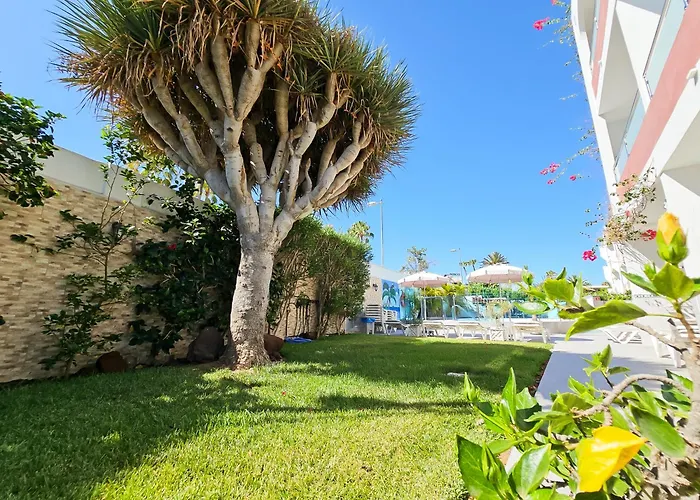 Apartment Bogota Playa del Ingles (Gran Canaria)